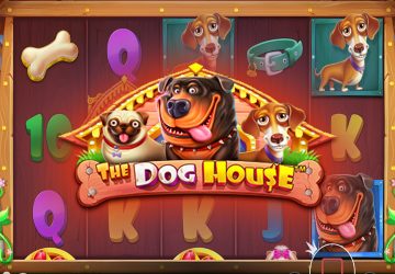 Dog House